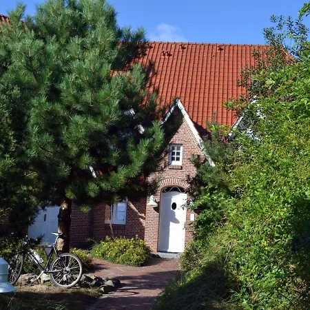 公寓 Ahndole-hollken-wohnung-1a *